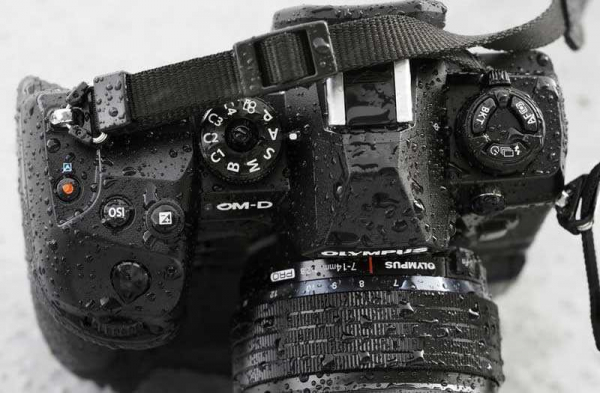 Обзор Olympus OM-D E-M1X: беззеркалка с лучшей стабилизацией