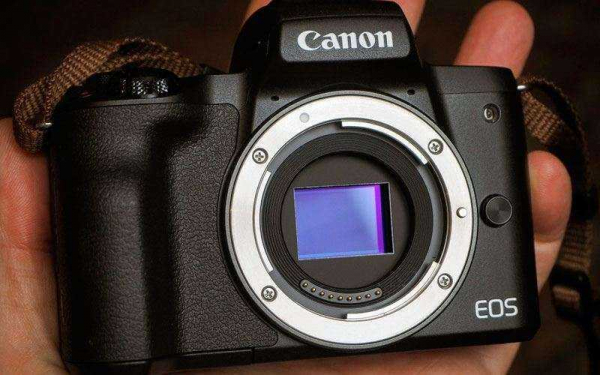 Canon EOS M50 — Обзор почти идеальной камеры для влогеров